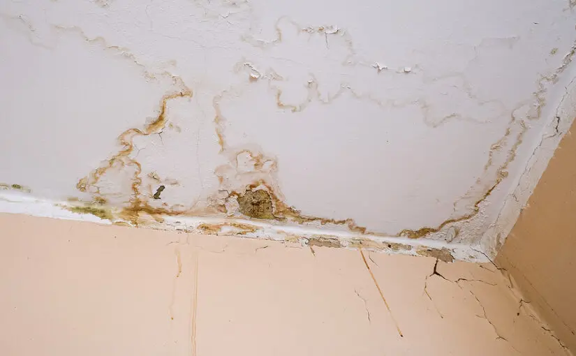 Water-stained ceiling with peeling paint and mold growth from roof leak damage