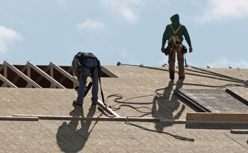 Two roofers secured with safety harnesses work on a pitched asphalt shingle roof with exposed framing and roof vents visible under clear sky