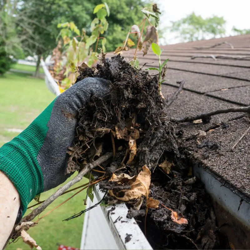 A close-up of a hand removing debris from a clogged gutter, emphasizing the importance of regular gutter maintenance to prevent blockages and water damage.