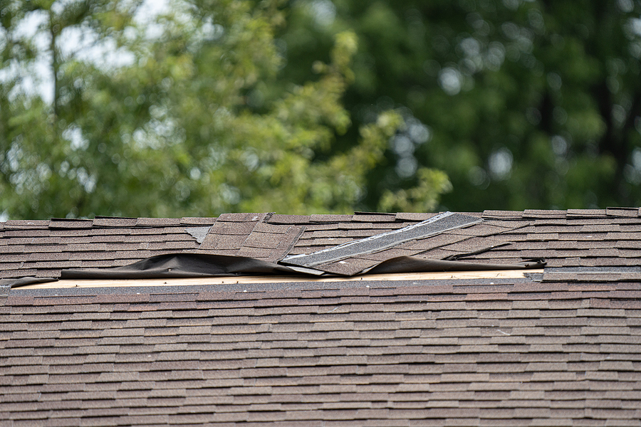 Asphalt shingles lifted and damaged by wind on a residential roof, a common reason homeowners file insurance claims after a storm.