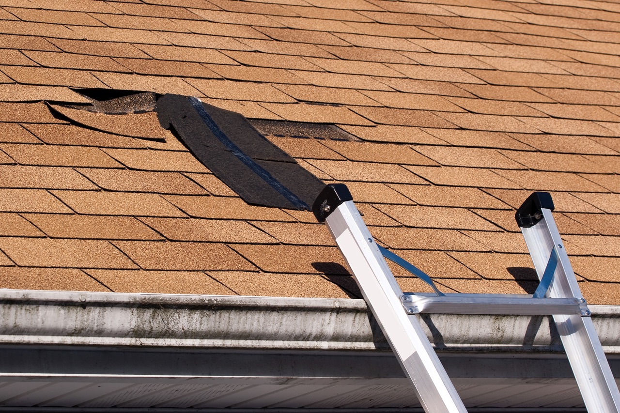 Ladder leaning against roof with lifted and missing asphalt shingles showing storm damage and potential roof leak